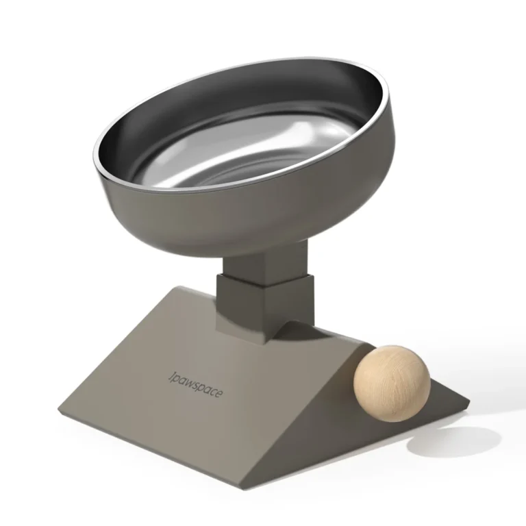 Bol surélevé réglable cavalier King Charles 7