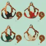 Harnais et laisse ourson chien 6