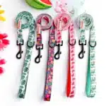 Laisse en nylon a motif pour chien 2