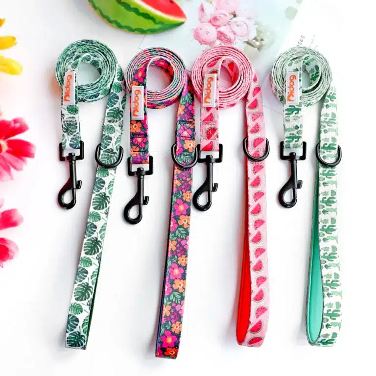 Laisse en nylon a motif pour chien 2
