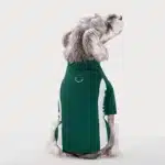 Tee shirt avec bande blanche pour bouledogue 5