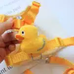 Harnais avec animaux pour bouledogue 4