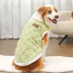 Pull pilou chaud pour labrador 5