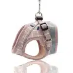 Harnais en nylon avec laisse pour teckel 23