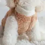 Pyjama en polaire douce petit chien 5