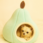 ChatGPT Image 12 nov. 2025, 18_06_37