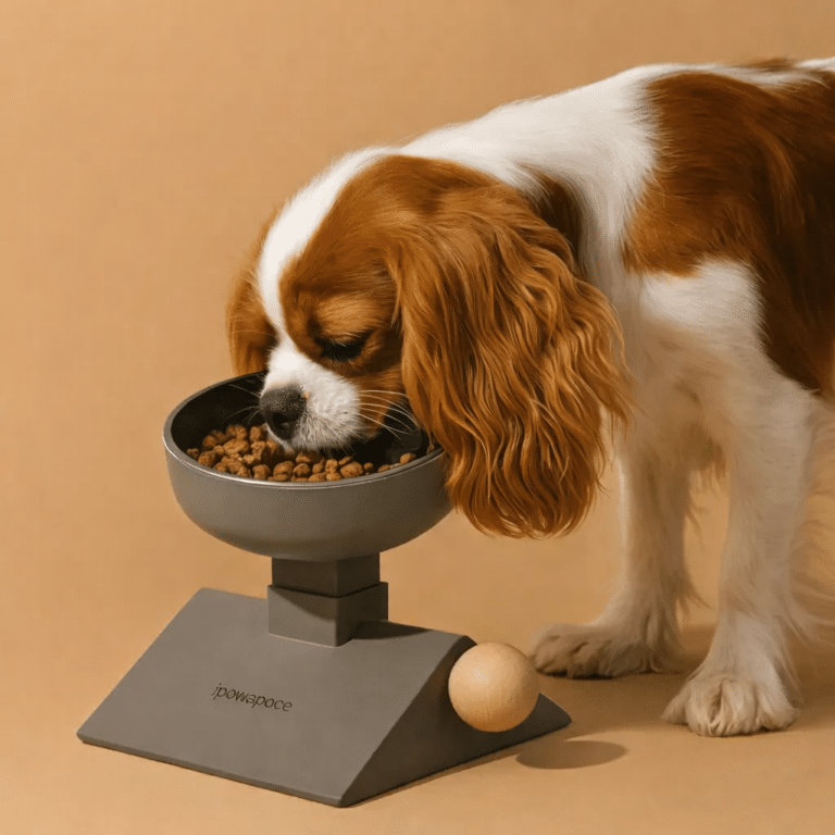 ChatGPT Image 16 févr. 2026, 23_44_57