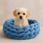 ChatGPT Image 17 nov. 2025, 16_03_52