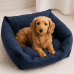 ChatGPT Image 19 nov. 2025, 19_36_38