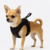 Harnais chien avec laisse intégré