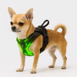 ChatGPT Image 22 nov. 2025, 09_05_47