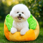 ChatGPT Image 23 nov. 2025, 11_01_12