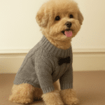 ChatGPT Image 23 nov. 2025, 17_45_03