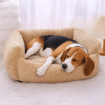 ChatGPT Image 24 nov. 2025, 20_48_24