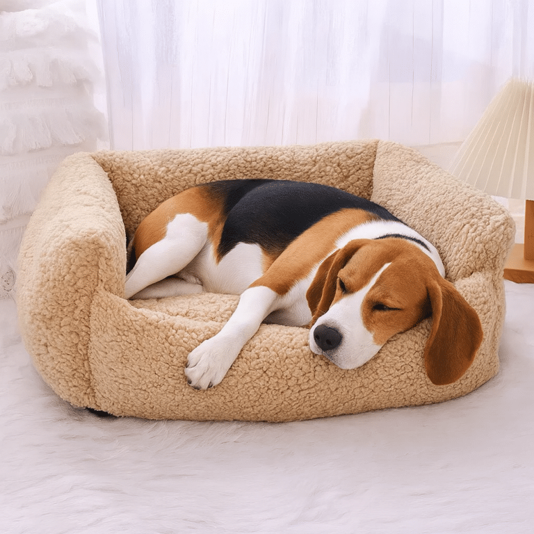 ChatGPT Image 24 nov. 2025, 20_48_24