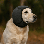 ChatGPT Image 26 nov. 2025, 21_49_55