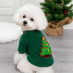 ChatGPT Image 30 nov. 2025, 20_13_03