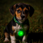 ChatGPT Image 30 nov. 2025, 20_20_12