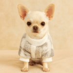 ChatGPT Image 30 nov. 2025, 21_31_21