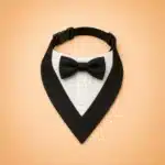 Collier costume chien