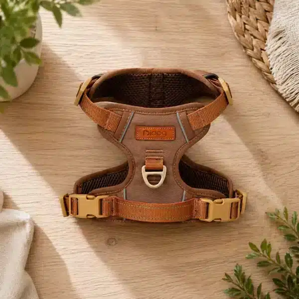 Harnais respirant pour chien