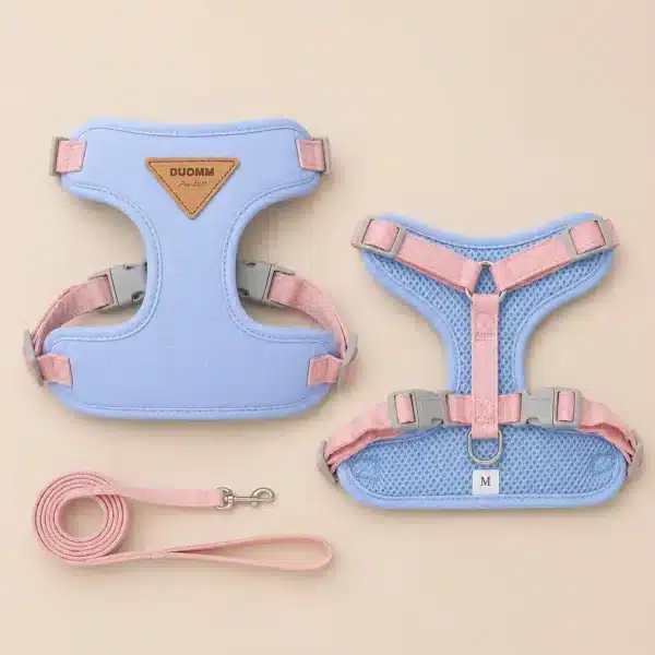 Harnais et laisse pour jack russel respirant