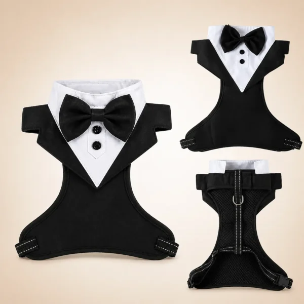 Harnais costume chien