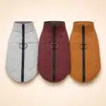 Manteau Cuir petit chien