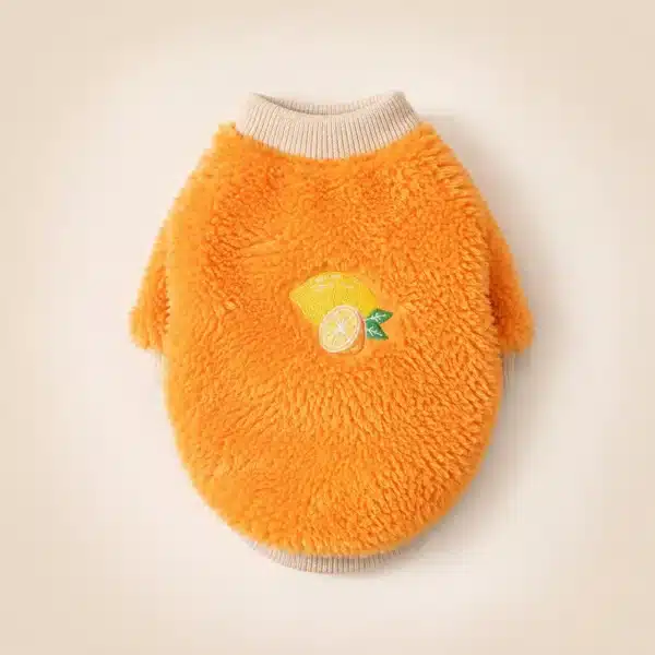 Pull motif fruit petit chien