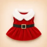 Robe de Noël petit chien