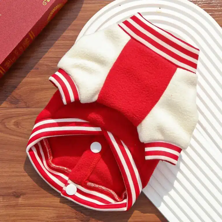 Bomber nounours avec crochet pour chihuahua 3