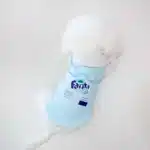 Pull fanta chihuahua 6