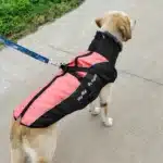 Veste réfléchissante avec fourrure chaude harnais intégré 5