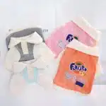Pull fanta chihuahua 5