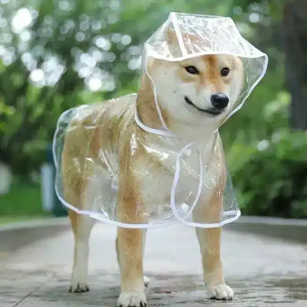 Poncho en PVC imperméable chien 1