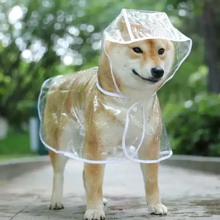 Poncho en PVC imperméable chien 1