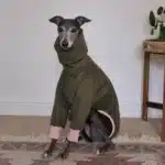 Pull chaud lévrier 1