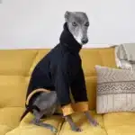 Pull chaud lévrier 4