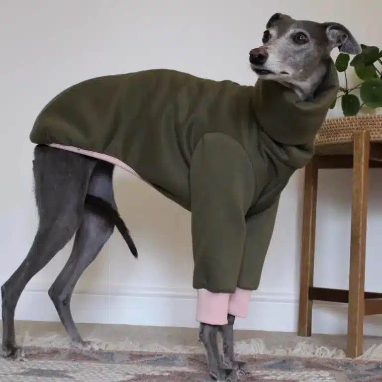 Pull chaud lévrier 2