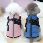 Veste réfléchissant sans manches bichon 1