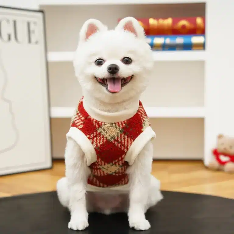 Pull chaud à carreaux Yorkshire 2