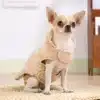Veste en pilou réversible pour chien