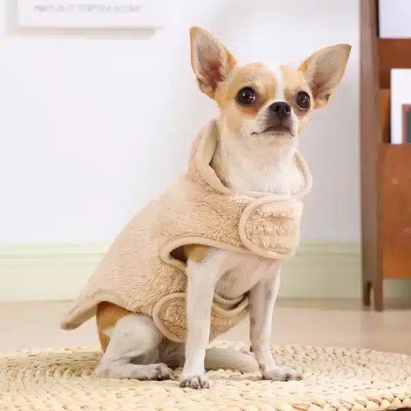 Veste en pilou réversible pour chien 21