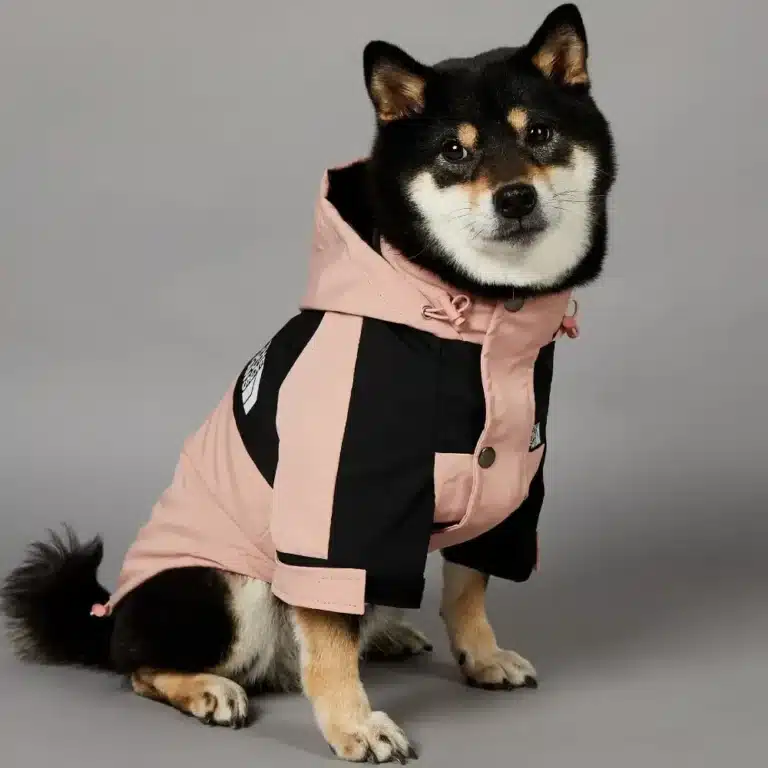 Parka impermeable chien 12