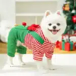 Pull salopette noël petit chien 10