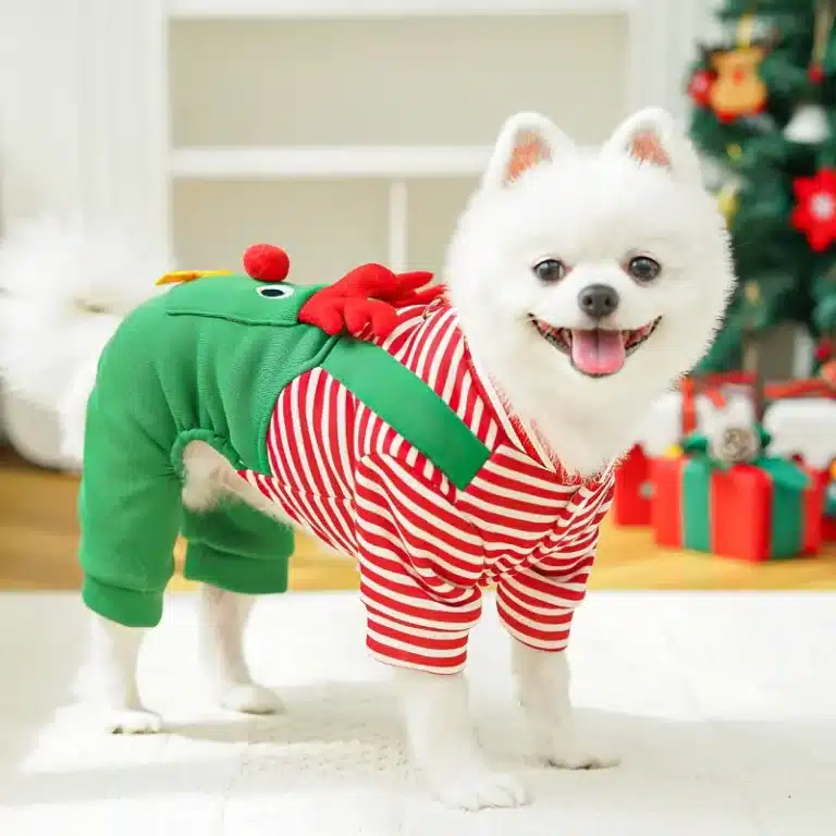 Pull salopette noël petit chien 10