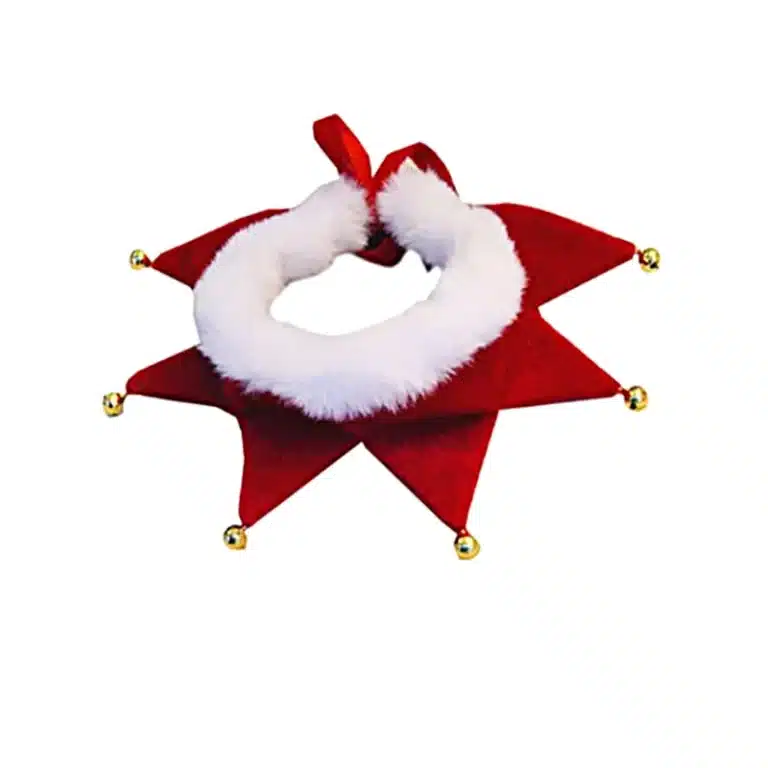 Écharpe de noël pour chien 3