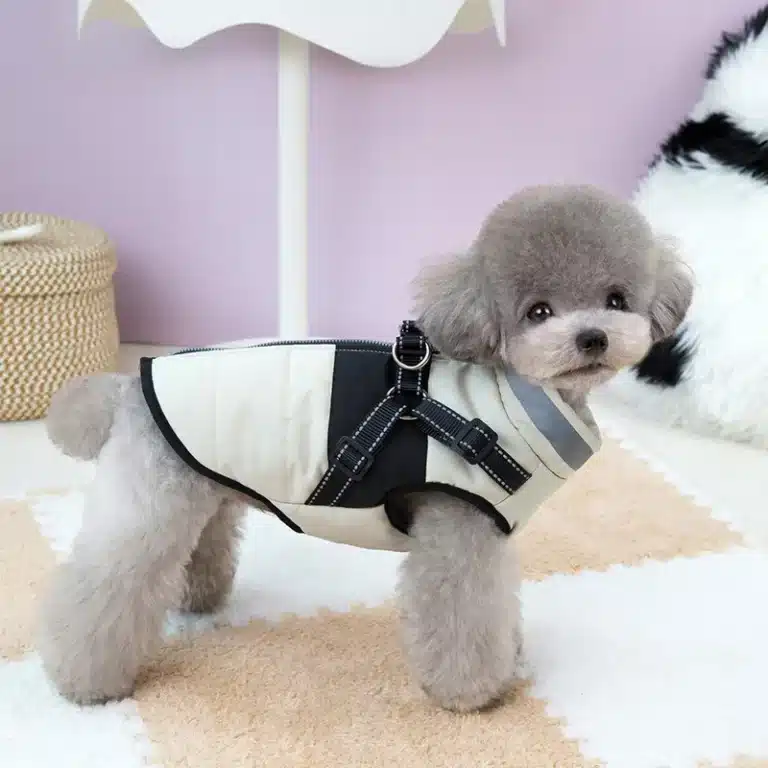 Veste réfléchissant sans manches bichon 18