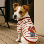 ChatGPT Image 1 déc. 2025, 15_51_06