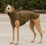 ChatGPT Image 1 déc. 2025, 16_10_46